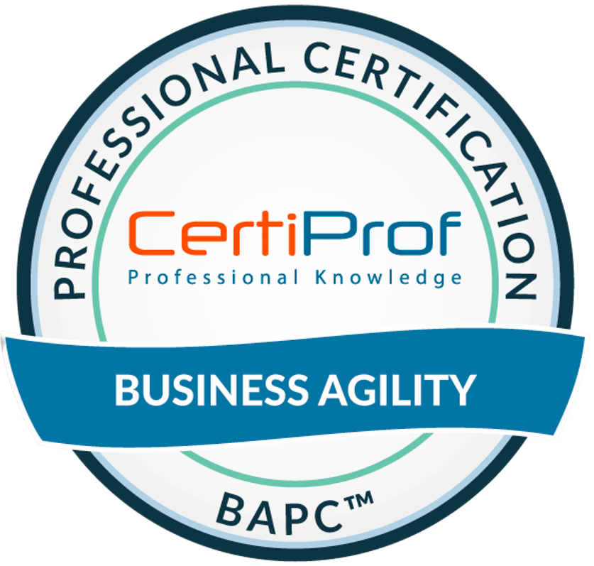 Business Model Canvas Professional Certificate